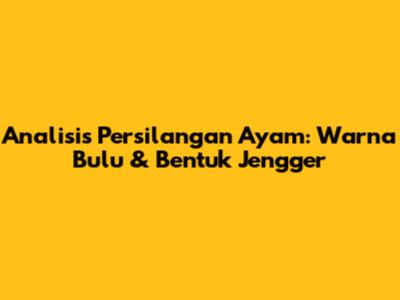 Analisis Persilangan Ayam: Warna Bulu & Bentuk Jengger