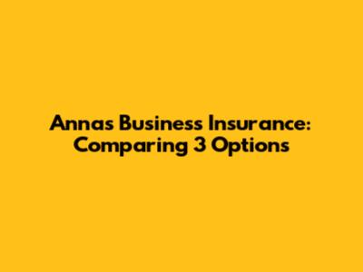 Anna's Business Insurance: Comparing 3 Options