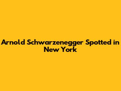 Arnold Schwarzenegger Spotted in New York