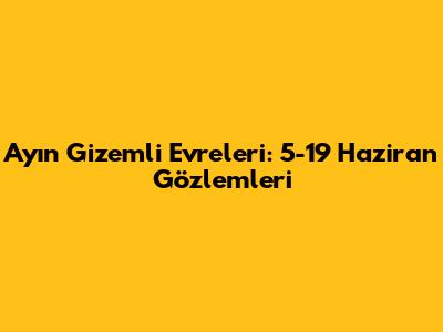 Ay'ın Gizemli Evreleri: 5-19 Haziran Gözlemleri