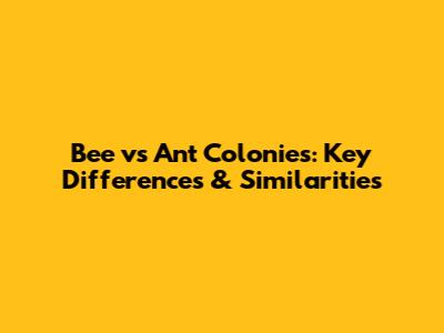 Bee vs Ant Colonies: Key Differences & Similarities