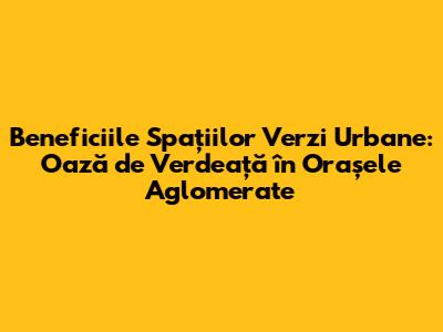 Beneficiile Spațiilor Verzi Urbane: Oază de Verdeață în Orașele Aglomerate