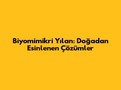Biyomimikri Yılan: Doğadan Esinlenen Çözümler