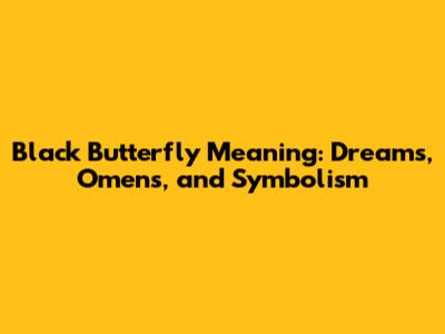 Black Butterfly Meaning: Dreams, Omens, and Symbolism