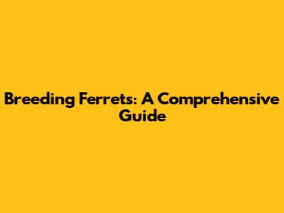 Breeding Ferrets: A Comprehensive Guide