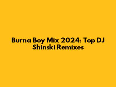 Burna Boy Mix 2024: Top DJ Shinski Remixes
