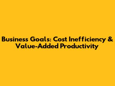 Business Goals: Cost Inefficiency & Value-Added Productivity