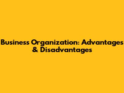Business Organization: Advantages & Disadvantages