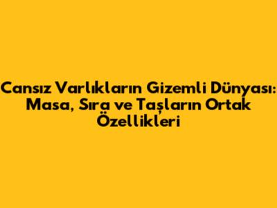 Cansız Varlıkların Gizemli Dünyası: Masa, Sıra ve Taşların Ortak Özellikleri