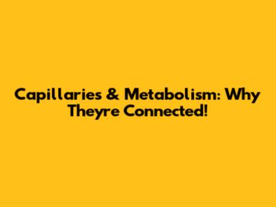 Capillaries & Metabolism: Why They're Connected!