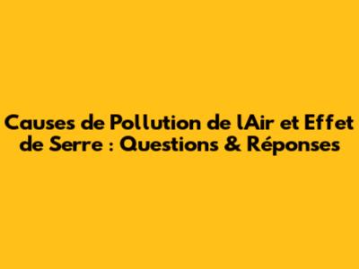 Causes de Pollution de l'Air et Effet de Serre : Questions & Réponses