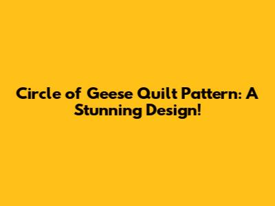 Circle of Geese Quilt Pattern: A Stunning Design!