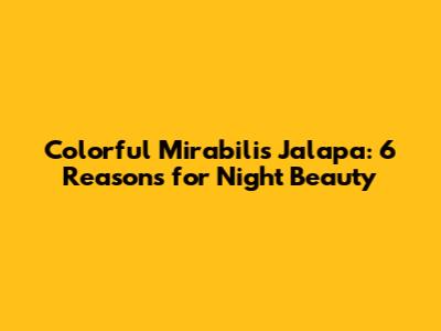 Colorful Mirabilis Jalapa: 6 Reasons for Night Beauty