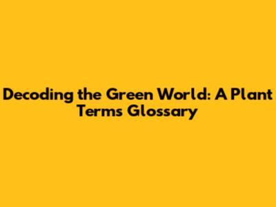 Decoding the Green World: A Plant Terms Glossary