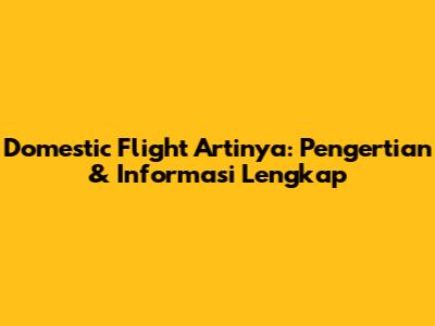 Domestic Flight Artinya: Pengertian & Informasi Lengkap