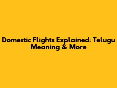 Domestic Flights Explained: Telugu Meaning & More