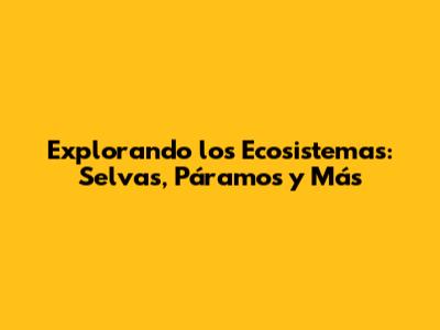 Explorando los Ecosistemas: Selvas, Páramos y Más