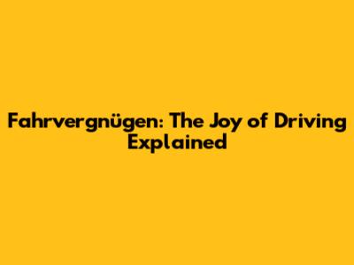 Fahrvergnügen: The Joy of Driving Explained