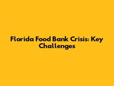 Florida Food Bank Crisis: Key Challenges