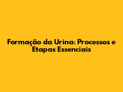 Formação da Urina: Processos e Etapas Essenciais