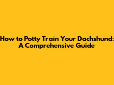 How to Potty Train Your Dachshund: A Comprehensive Guide