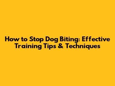 How to Stop Dog Biting: Effective Training Tips & Techniques