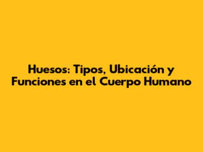Huesos: Tipos, Ubicación y Funciones en el Cuerpo Humano
