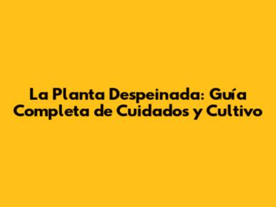 La Planta Despeinada: Guía Completa de Cuidados y Cultivo