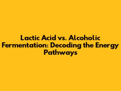 Lactic Acid vs. Alcoholic Fermentation: Decoding the Energy Pathways