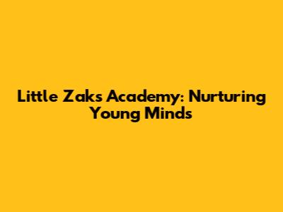 Little Zak's Academy: Nurturing Young Minds