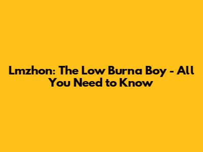 Lmzhon: The Low Burna Boy - All You Need to Know