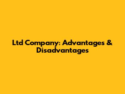 Ltd Company: Advantages & Disadvantages