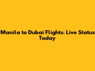 Manila to Dubai Flights: Live Status Today