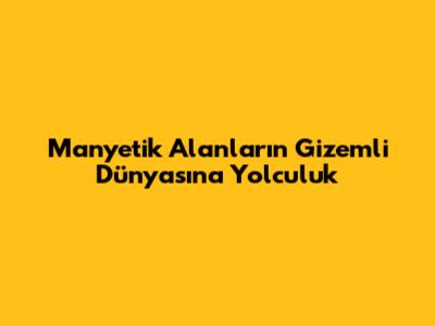 Manyetik Alanların Gizemli Dünyasına Yolculuk