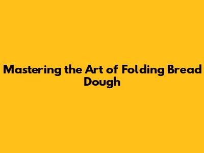 Mastering the Art of Folding Bread Dough