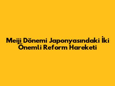Meiji Dönemi Japonya'sındaki İki Önemli Reform Hareketi