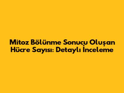 Mitoz Bölünme Sonucu Oluşan Hücre Sayısı: Detaylı İnceleme
