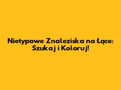 Nietypowe Znaleziska na Łące: Szukaj i Koloruj!