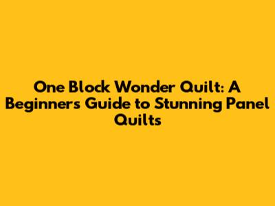 One Block Wonder Quilt: A Beginner's Guide to Stunning Panel Quilts