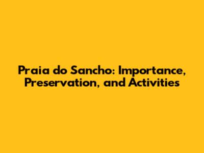 Praia do Sancho: Importance, Preservation, and Activities