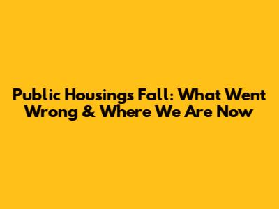 Public Housing's Fall: What Went Wrong & Where We Are Now