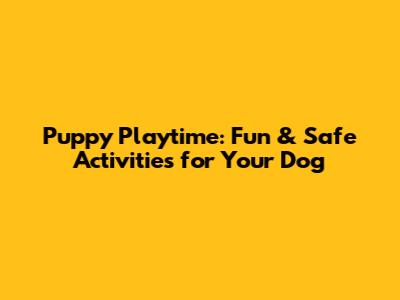 Puppy Playtime: Fun & Safe Activities for Your Dog