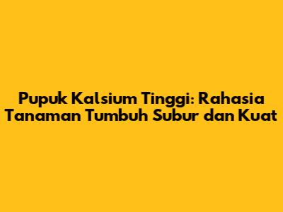 Pupuk Kalsium Tinggi: Rahasia Tanaman Tumbuh Subur dan Kuat