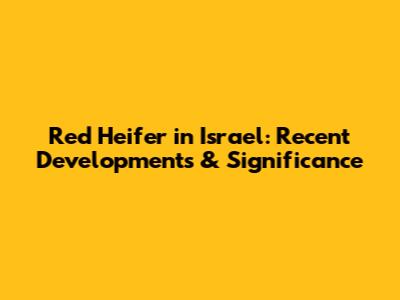 Red Heifer in Israel: Recent Developments & Significance