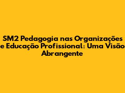 SM2 Pedagogia nas Organizações e Educação Profissional: Uma Visão Abrangente