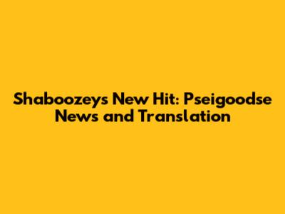 Shaboozey's New Hit: Pseigoodse News and Translation