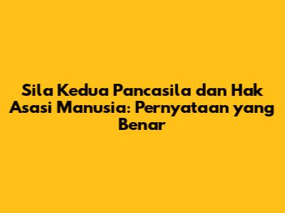 Sila Kedua Pancasila dan Hak Asasi Manusia: Pernyataan yang Benar