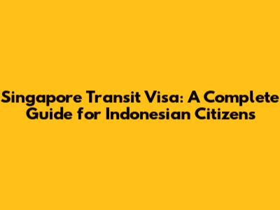 Singapore Transit Visa: A Complete Guide for Indonesian Citizens