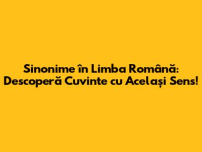 Sinonime în Limba Română: Descoperă Cuvinte cu Același Sens!
