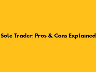 Sole Trader: Pros & Cons Explained